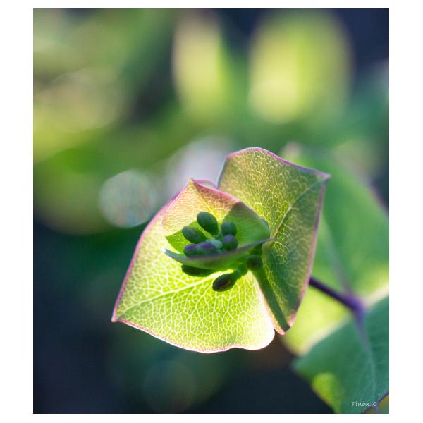 PHOTO84, CLUB, 84 , LUBERON